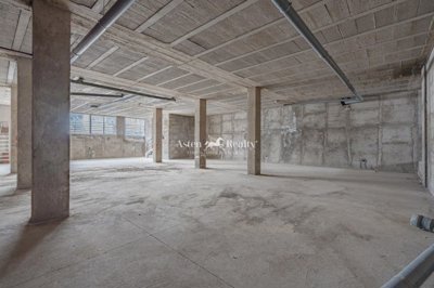 16686658