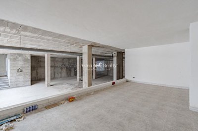 16686661