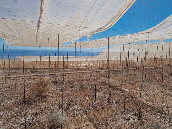 Image No.10-Terrain à vendre à Guia de Isora