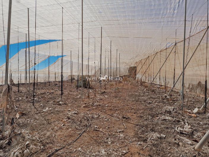 Image No.2-Terrain à vendre à Guia de Isora