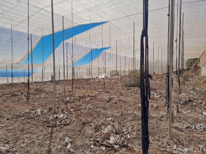 Image No.3-Terrain à vendre à Guia de Isora