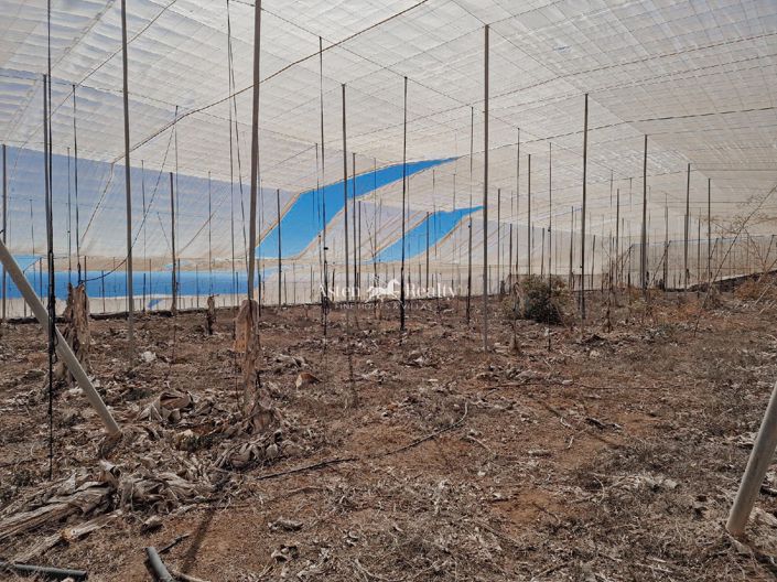 Image No.7-Terrain à vendre à Guia de Isora