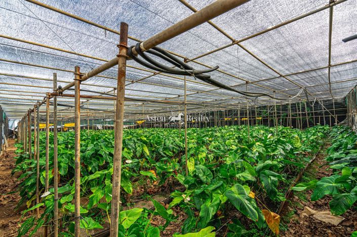 Image No.30-Plot for sale