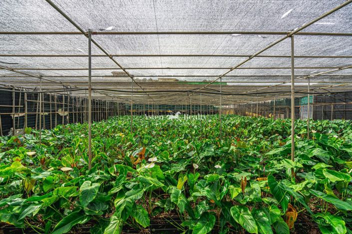 Image No.32-Terrain à vendre à Espagne