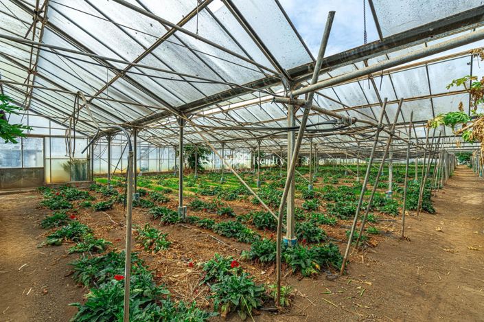 Image No.34-Terrain à vendre à Espagne