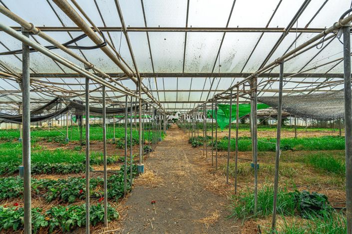 Image No.36-Terrain à vendre à Espagne