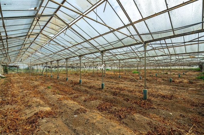 Image No.38-Plot for sale