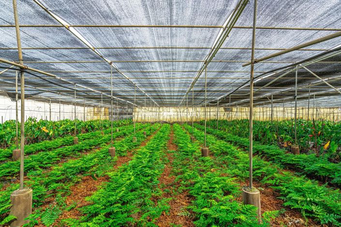 Image No.41-Plot for sale