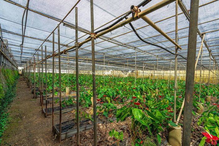 Image No.42-Terrain à vendre à Espagne