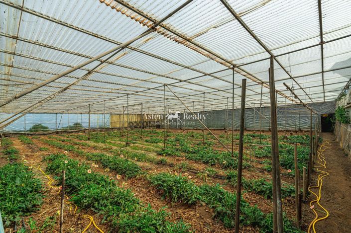 Image No.44-Plot for sale