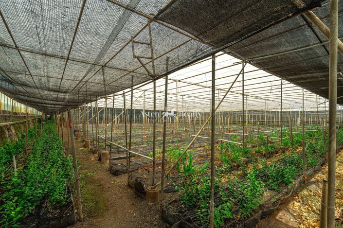 Image No.45-Plot for sale