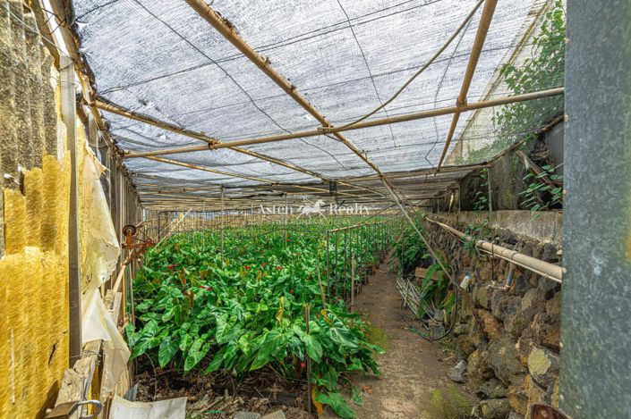 Image No.48-Plot for sale