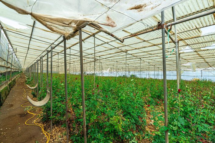 Image No.49-Terrain à vendre à Espagne