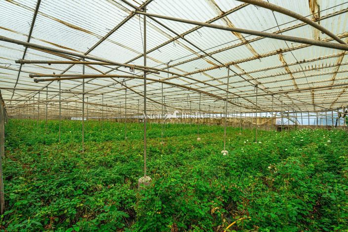 Image No.51-Terrain à vendre à Espagne