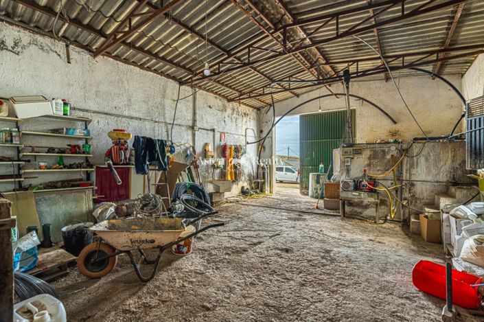 Image No.8-Plot for sale