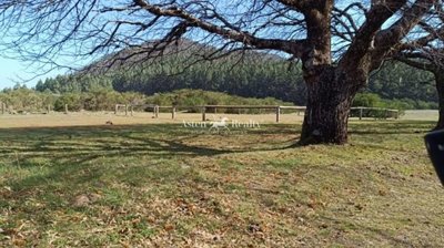 1 - La Matanza de Acentejo, Terrain