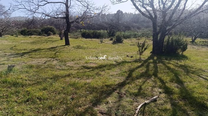 Image No.4-Plot for sale