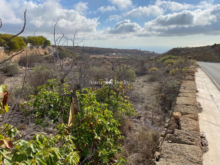 Image No.6-Terrain à vendre à Granadilla de Abona