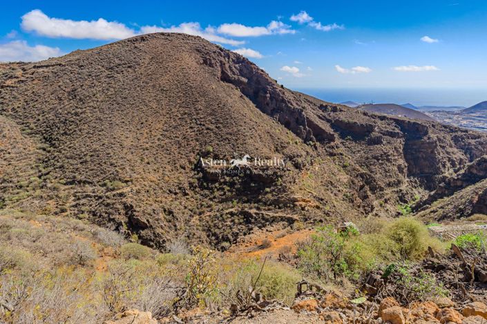 Image No.55-Propriété de 6 chambres à vendre à San Miguel