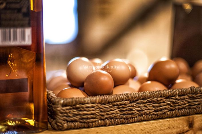 Image No.66-Propriété de 6 chambres à vendre à San Miguel