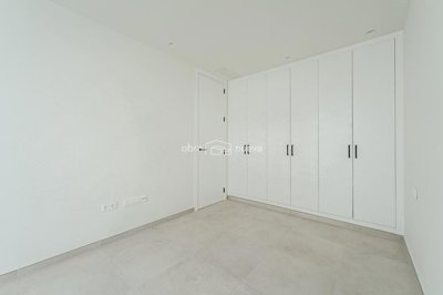 18277009