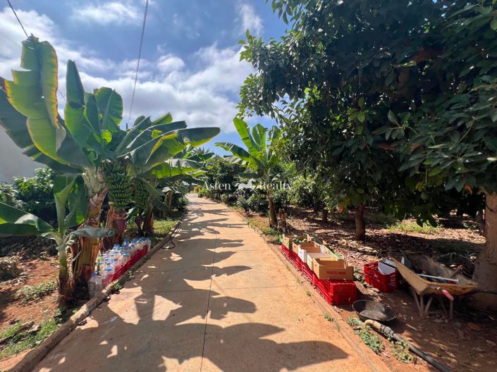 Image No.19-Terrain à vendre à Santiago Del Teide