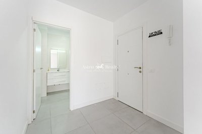 19906681