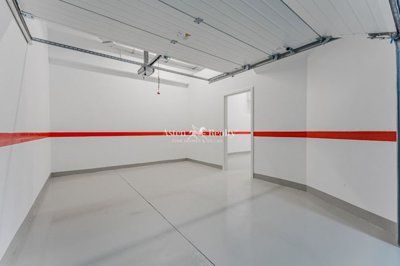 20465981