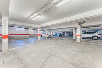 20497670