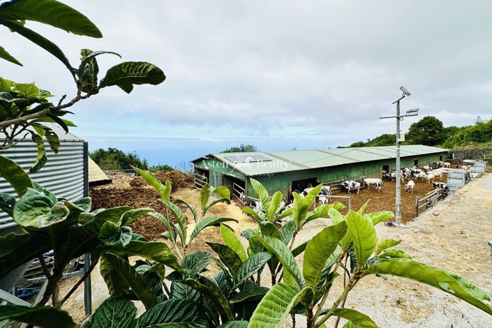 Image No.13-Property for sale