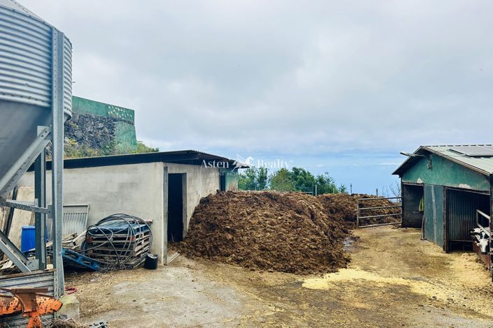 Image No.4-Property for sale