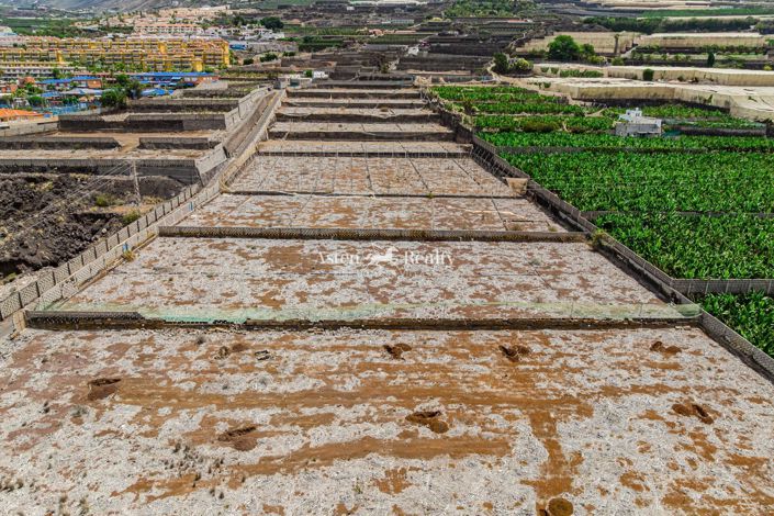 Image No.34-Terrain à vendre à Puerto de Santiago