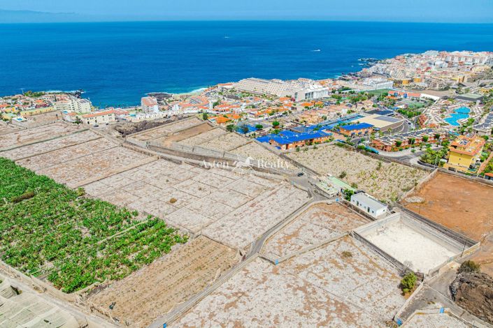 Image No.7-Terrain à vendre à Puerto de Santiago