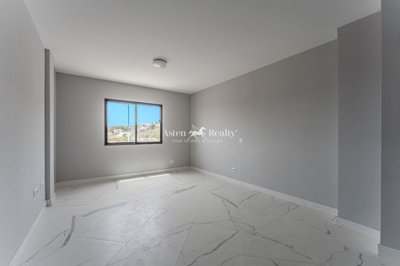 21367761