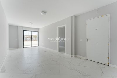 21367745