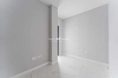 21367736