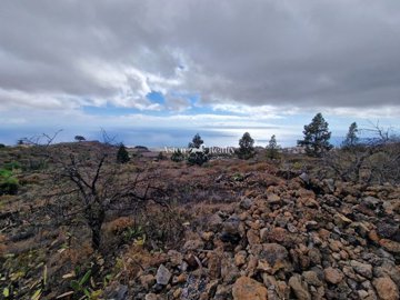 21448400