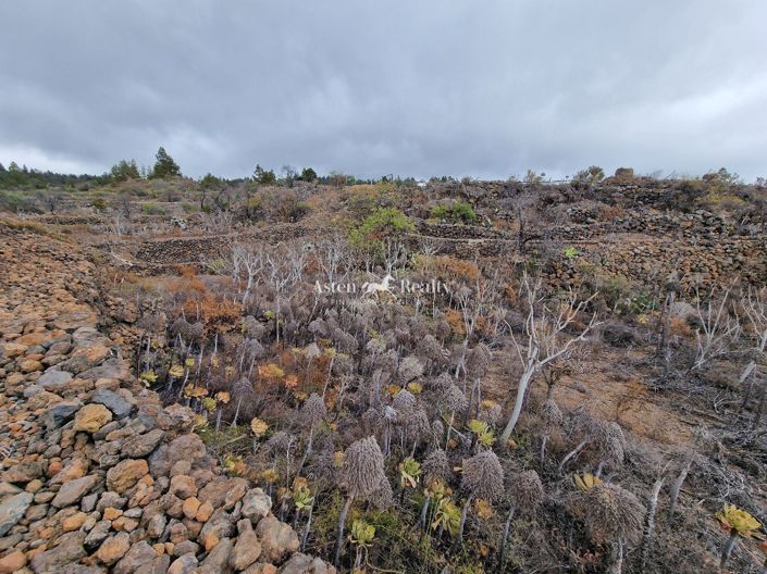 Image No.6-Plot for sale