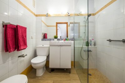 21819751