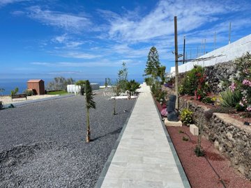 21808624