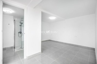 21878258