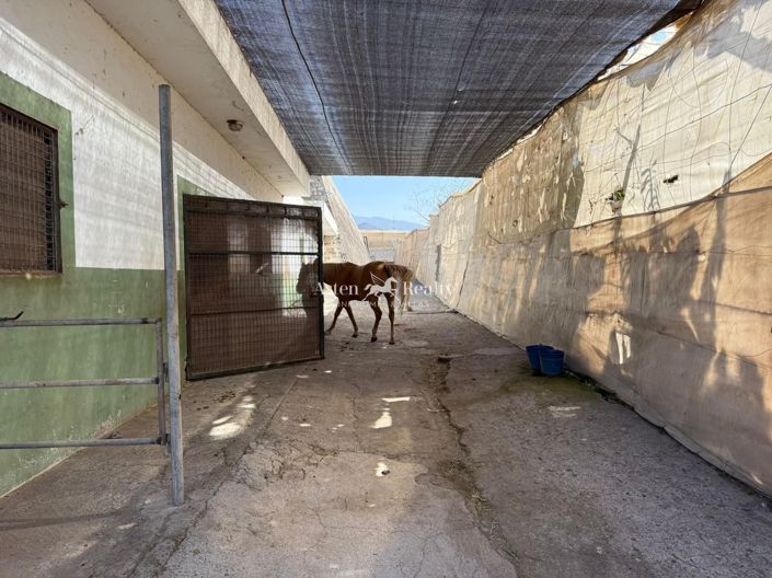 Image No.9-Terrain à vendre à Las Galletas