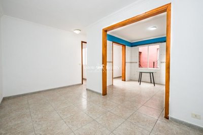 21897533