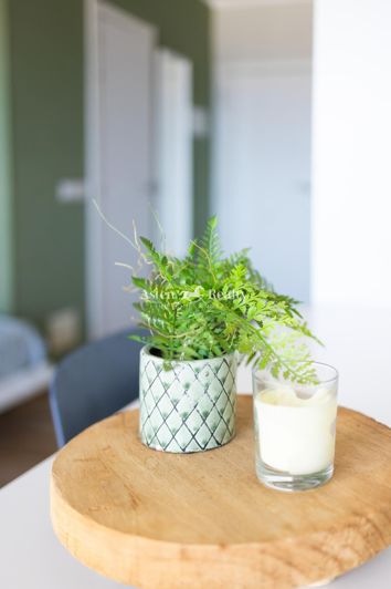 Image No.14-Studio à vendre à Playa Paraiso