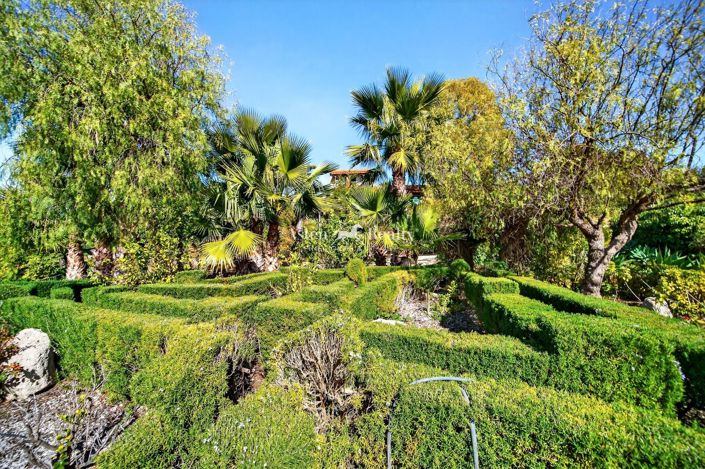 Image No.2-Terrain à vendre à Vilaflor