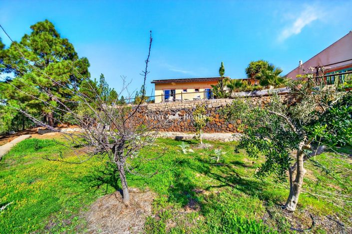 Image No.3-Terrain à vendre à Vilaflor