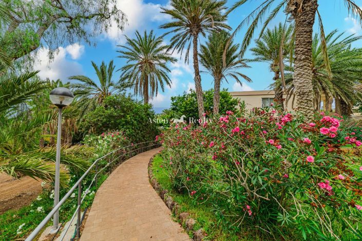 Image No.27-3 Bed Penthouse for sale