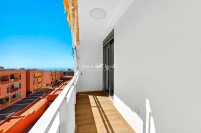 24631561