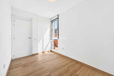 24631556