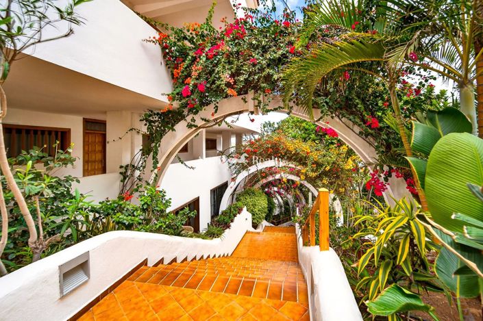 Image No.16-1 Bed Penthouse for sale